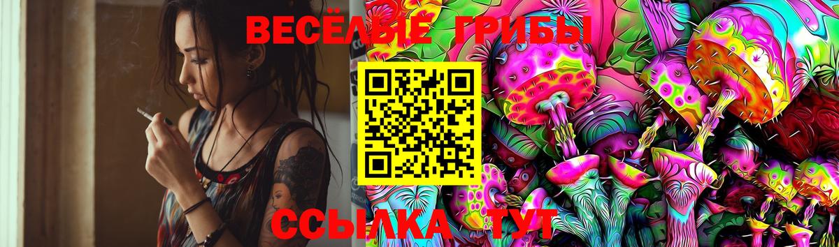 Елец  Галлюциногенные грибы ЛСД  Вход с VPN 
